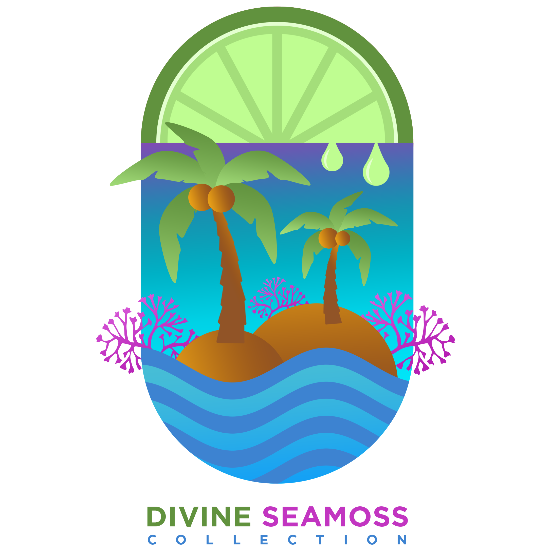 Divine Shine Skimpy Bikini Bottom - Sea Moss